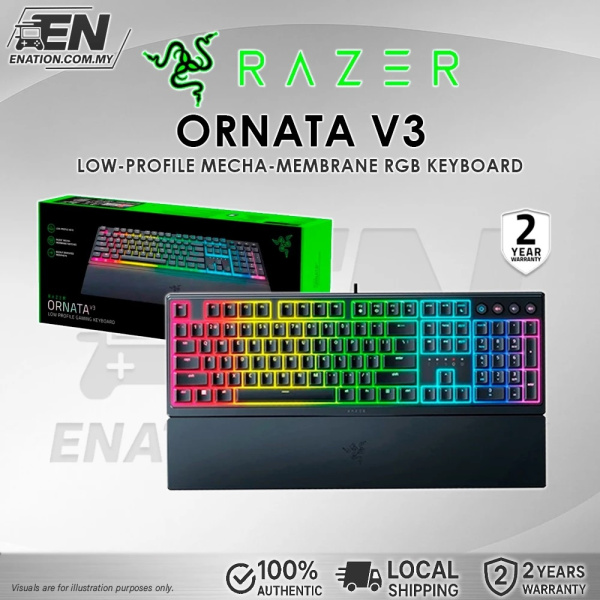 ornata_v3